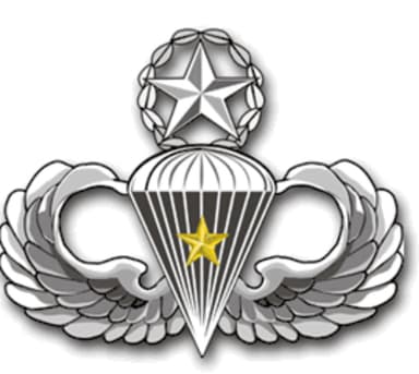 Master parachutist wings